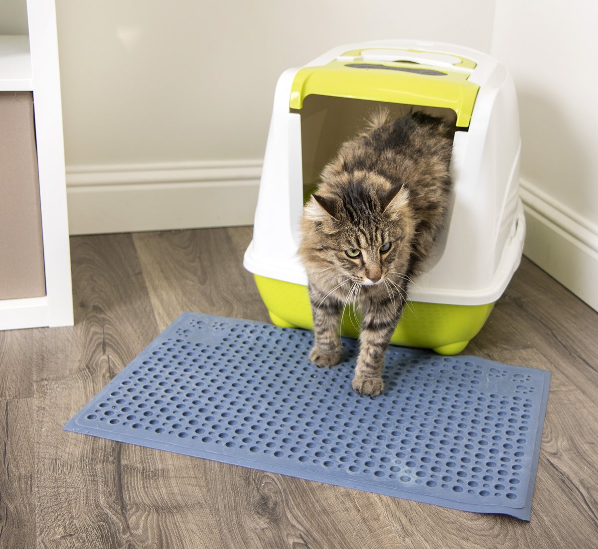 Petlinks Purrfect Paws Cat Litter Mat