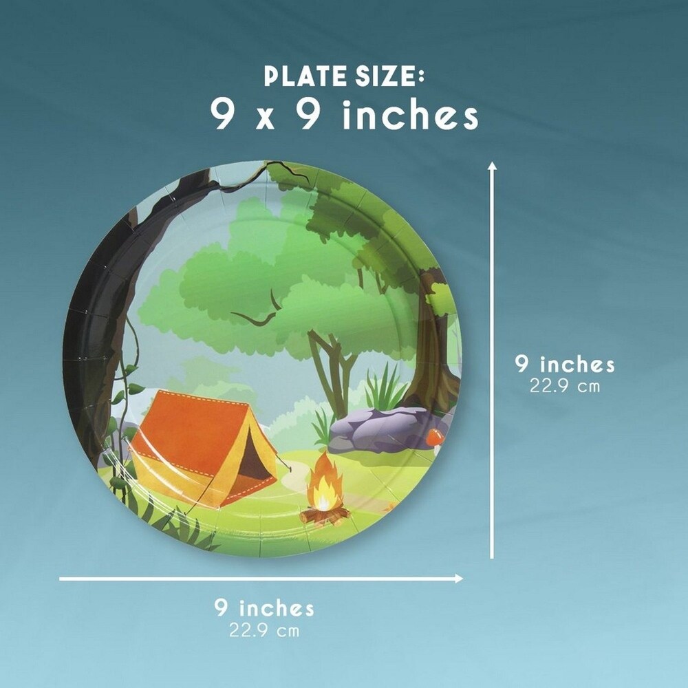 80 Pack Disposable Paper Plates  Camping Party Supplies for Dinner  9\