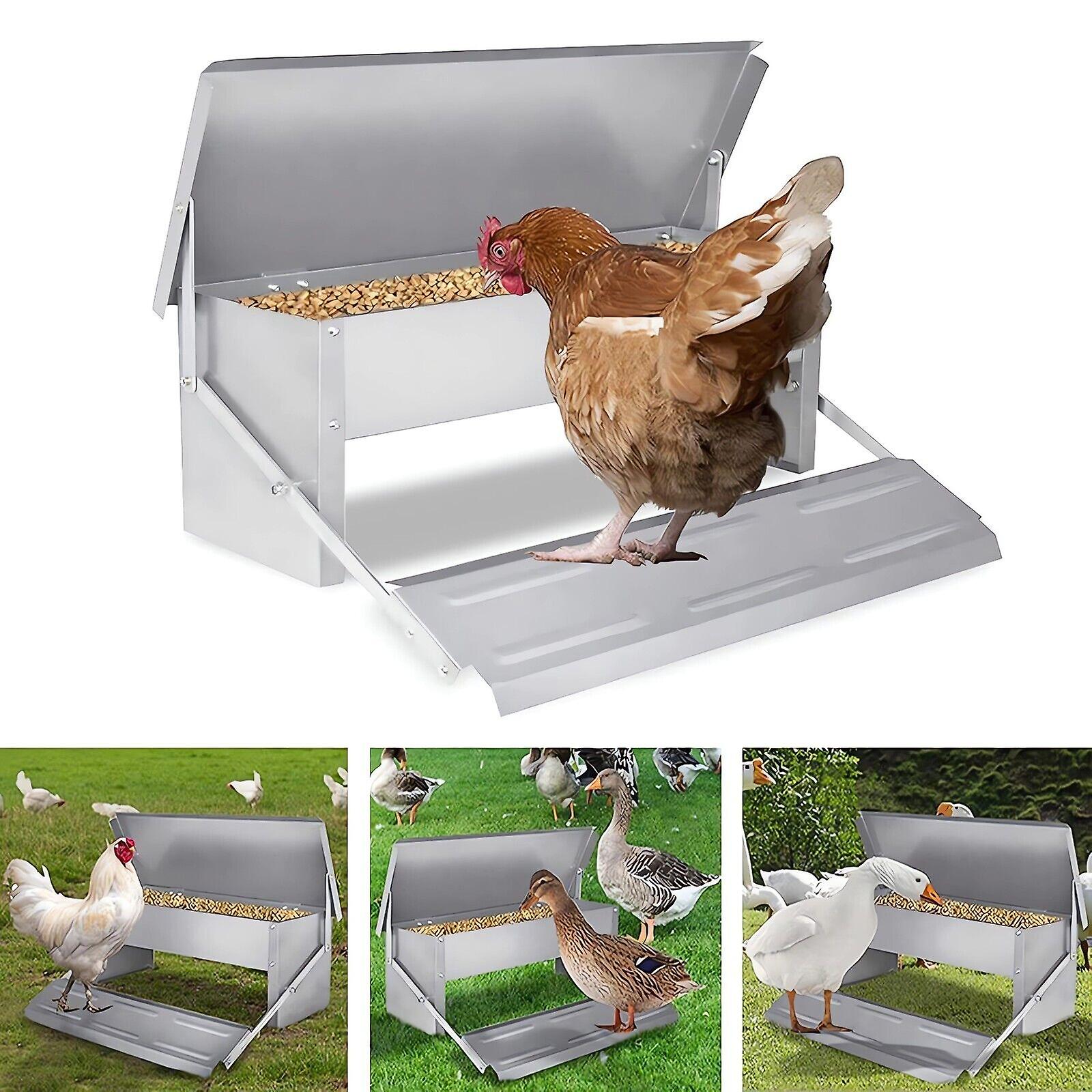 Automatic Treadle Chicken Poultry Chook Feeder Trough Ratproof Metal W12606447