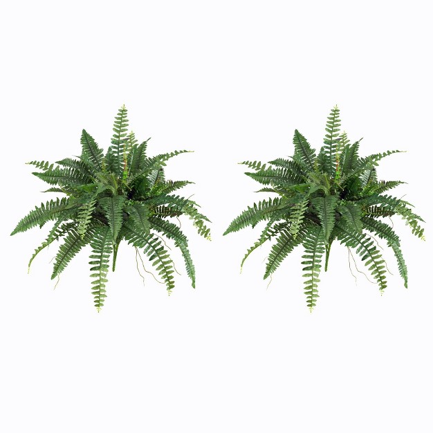 Boston Fern 2pk (40) - Nearly Natural