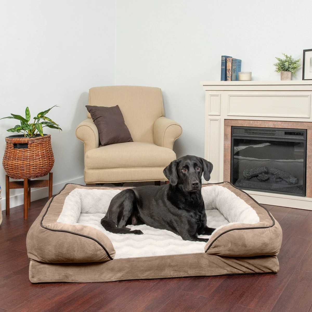 FurHaven Velvet Waves Perfect Comfort Orthopedic Sofa Cat and Dog Bed， Brownstone， Jumbo