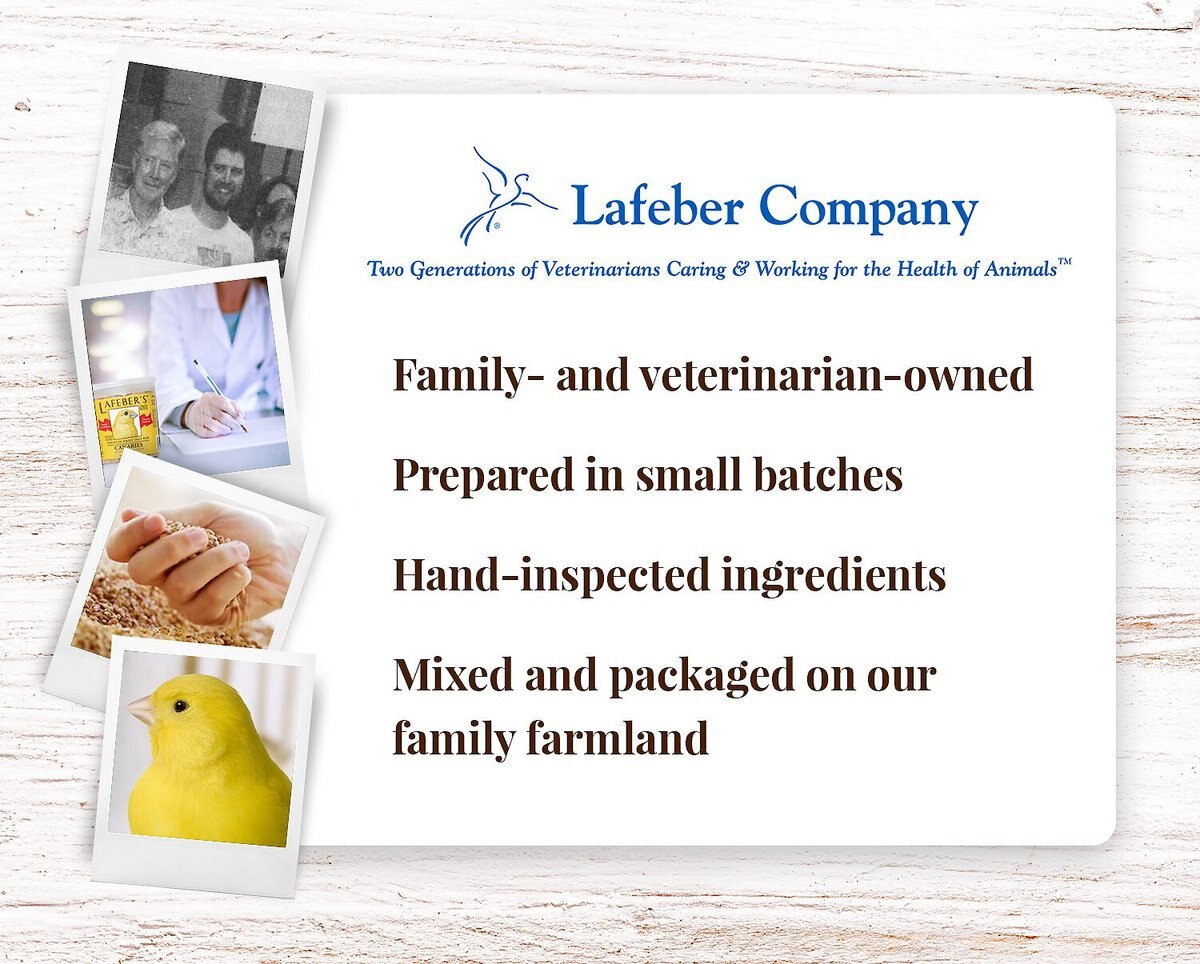 Lafeber Premium Daily Diet Canary Bird Food