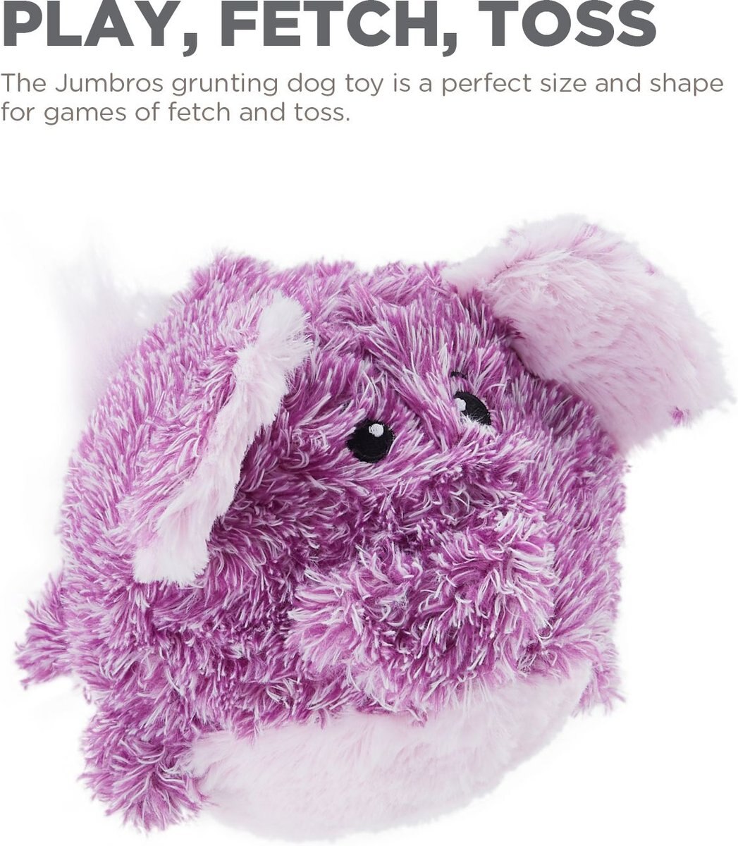 Outward Hound Jumbros Elephant Grunting Ball Dog Toy， Purple， Medium