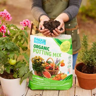 Back to the Roots 8-Pack: All-Purpose Potting Mix 6 Quarts 47006