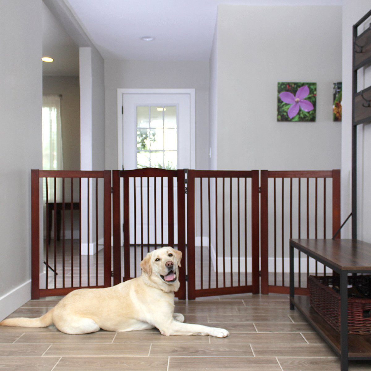 Primetime Petz 360 Configurable Gate with Door