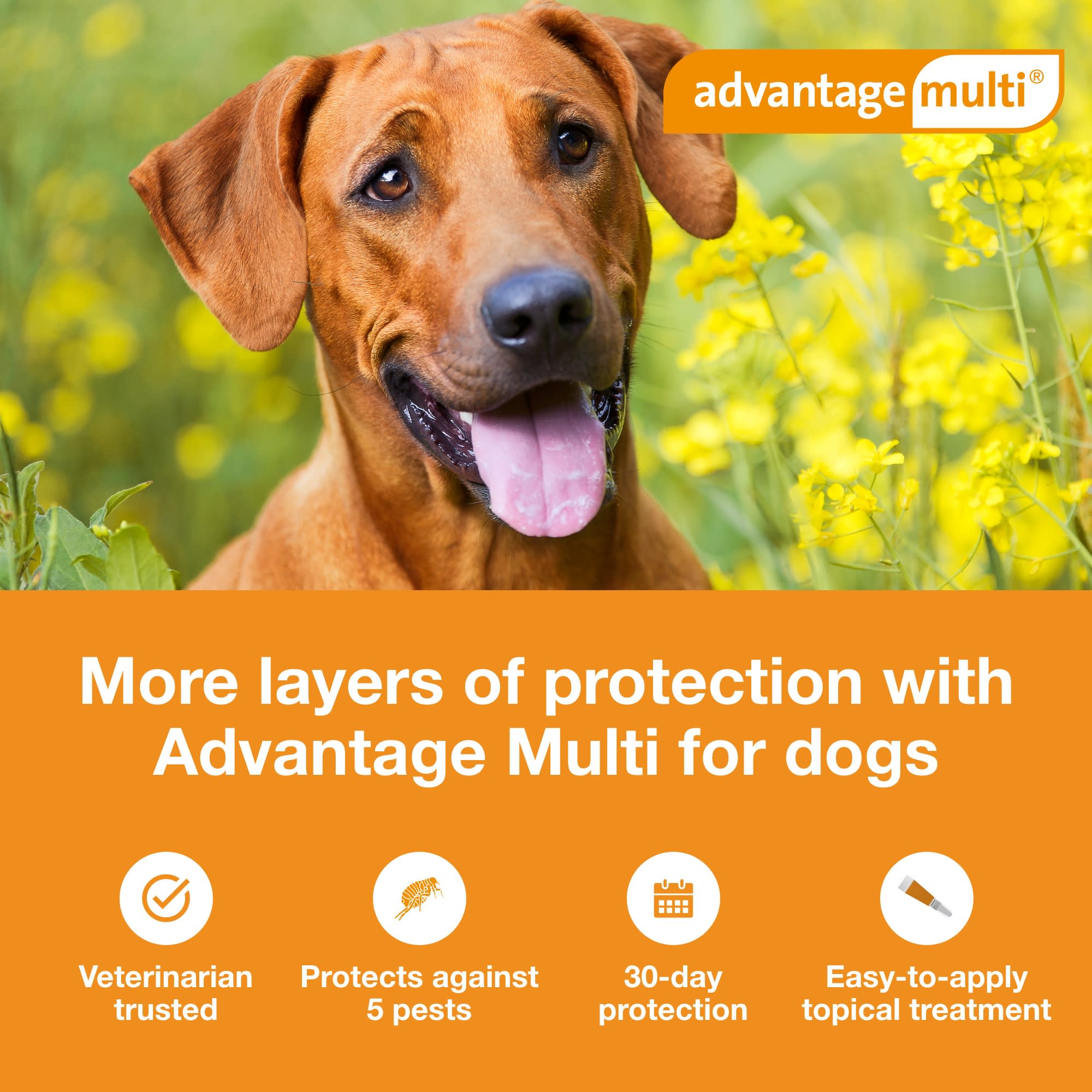 Advantage Multi Topical Solution for Dogs 55.1 to 88 lbs， 6 Month Supply