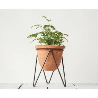 Storied Home 9.5 in. L x 8.75 in. W x 7.75 in. H Terracotta Outdoor Clay Decorative Pots 1-Pack DA8083