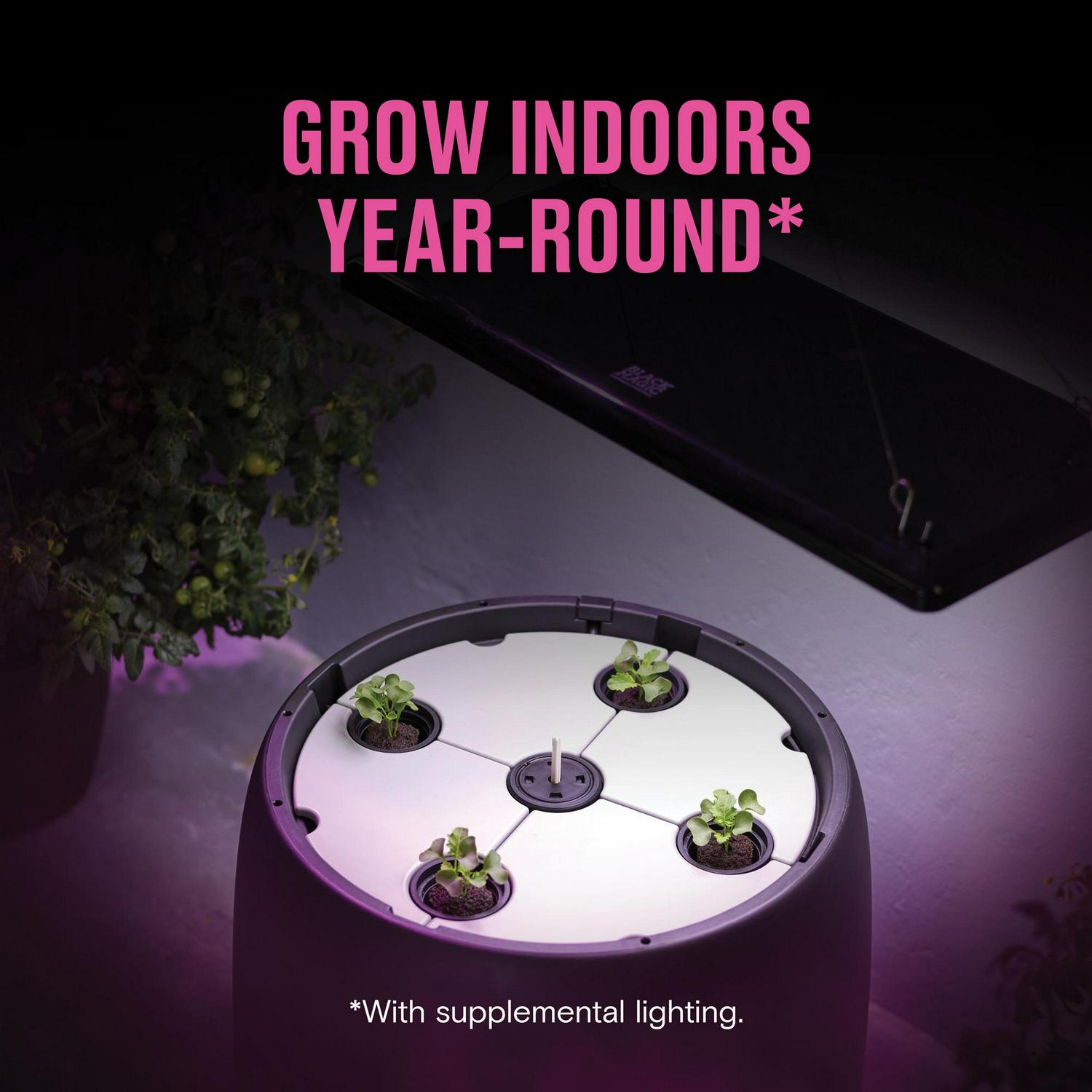 Black Magic 45W LED Grow Light  3 Band-Light Spectrum