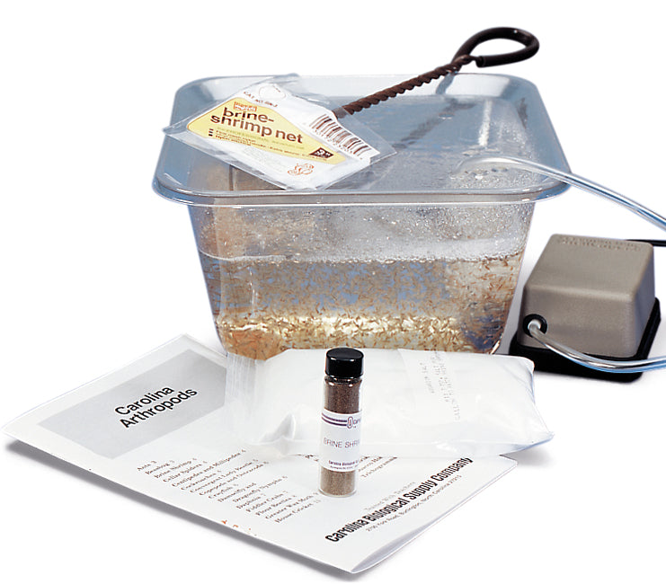 All-In-One Brine Shrimp Hatchery Kit