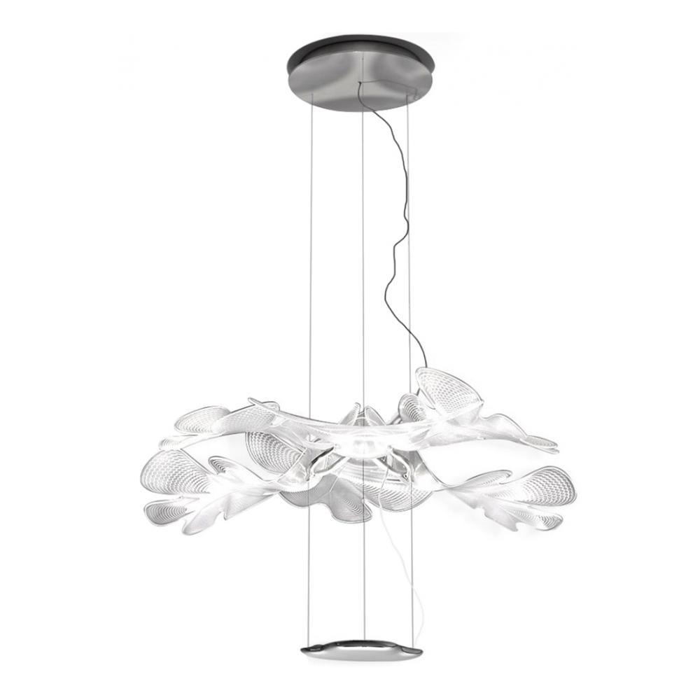 Chlorophilia Suspension Light