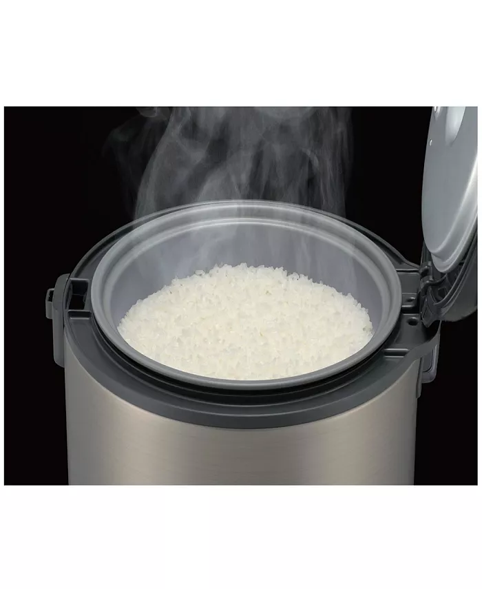 Tiger 10 Cup Rice Cooker and Warmer