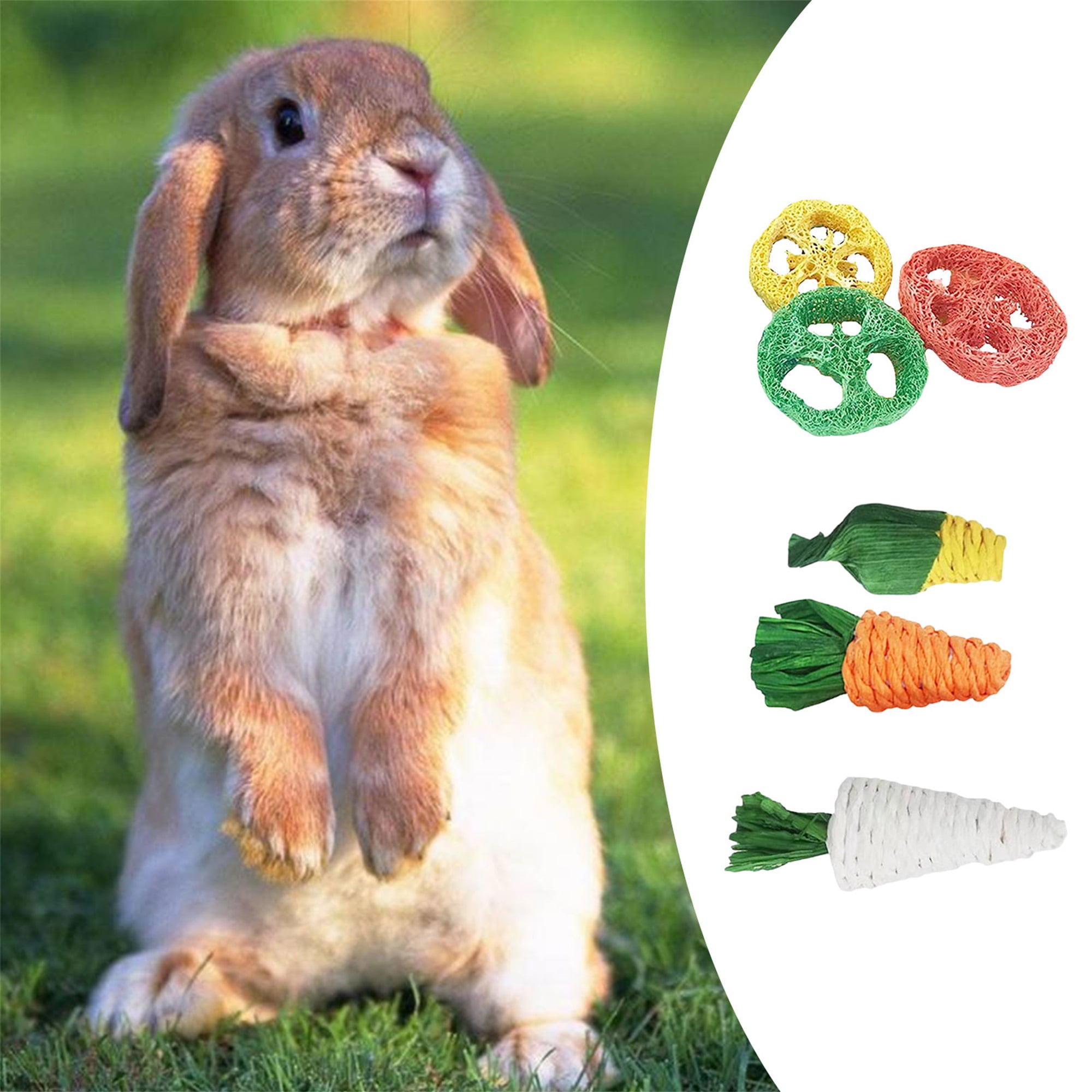 JINSIJU 12Pcs Rabbit Chew Toys， Chew Treats and Balls for Rabbit， Bunny， Chinchilla， Guinea Pig， Hamster， Bunny Teeth Care