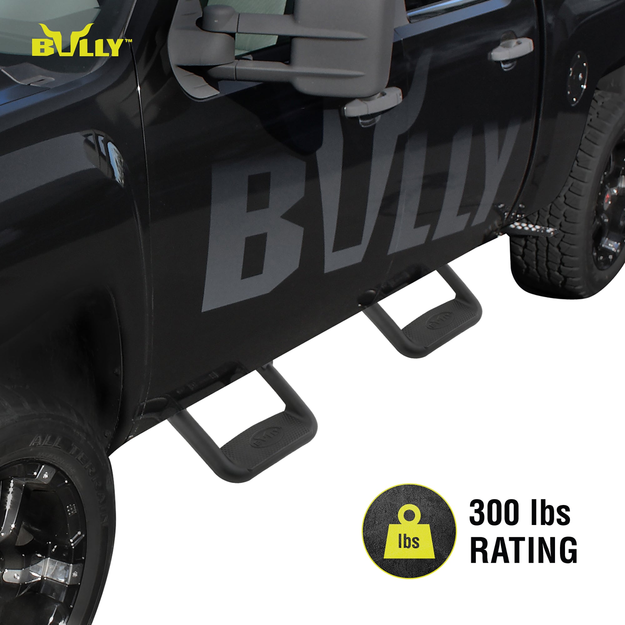 Bully Truck Side Step， Aluminum， Pair， Application fitment Fits 2013 Ford F-150