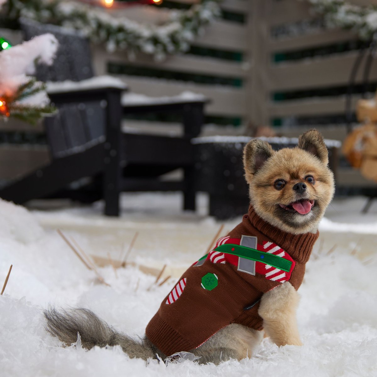 STAR WARS Tacky Holiday CHEWBACCA Dog and Cat Sweater