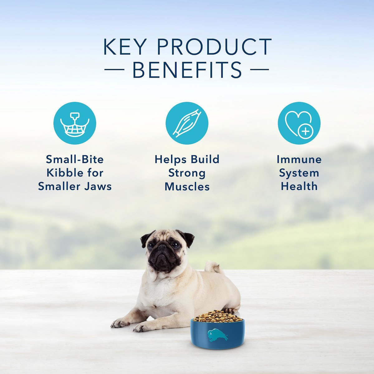 Blue Buffalo Life Protection Formula Small Bite Adult Chicken and Brown Rice Recipe Dry Dog Food