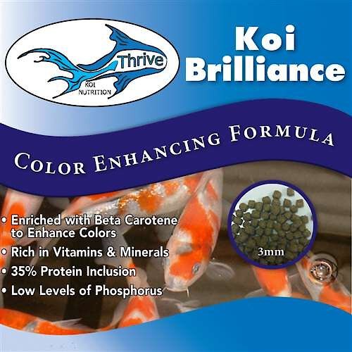 Thrive Koi Brilliance Color Enhancing Formula Koi Fish Food