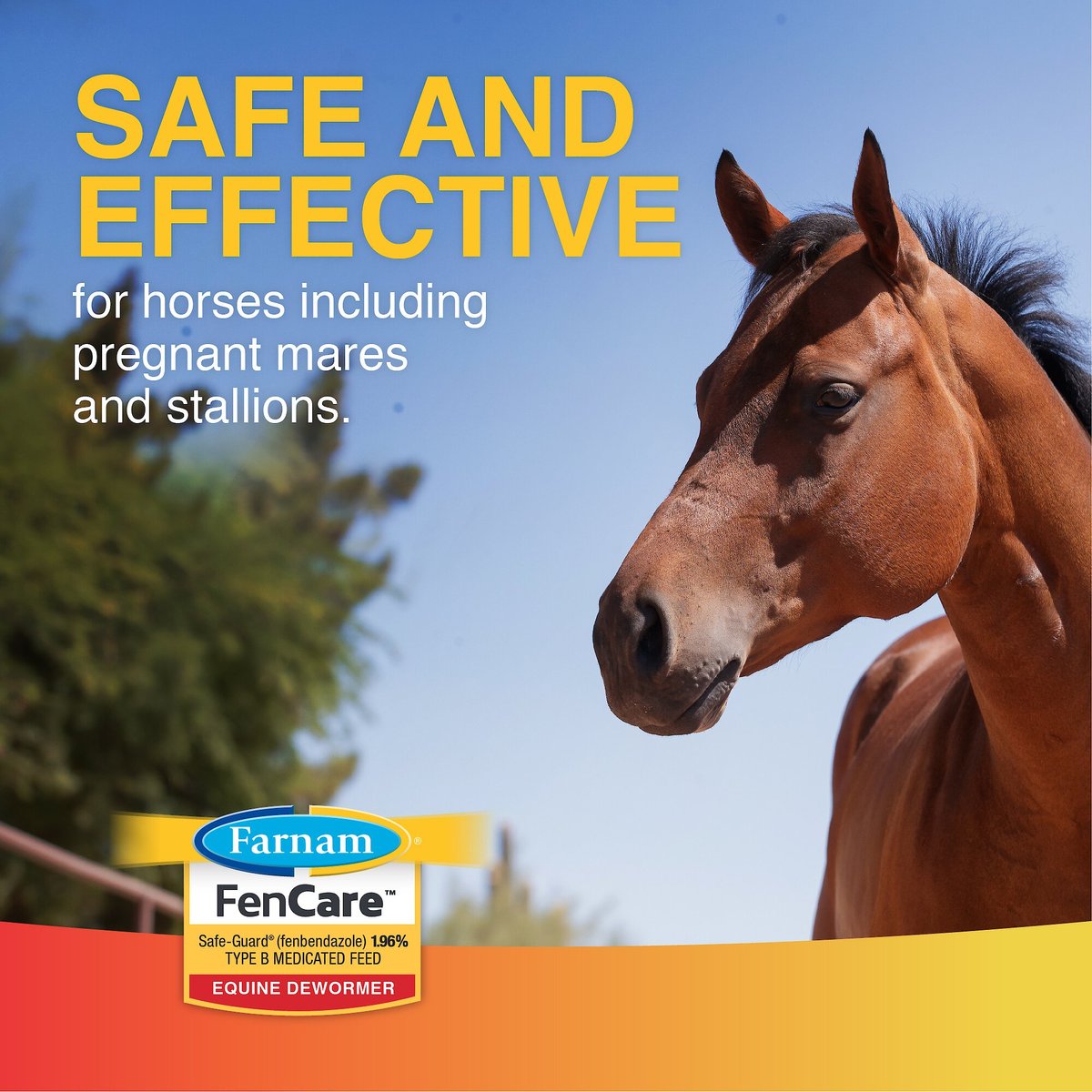 Farnam FenCare Safe-Guard Horse Dewormer， 5-oz bag