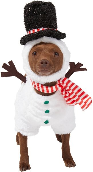 Frisco Front Walking Snowman Dog and Cat Costume