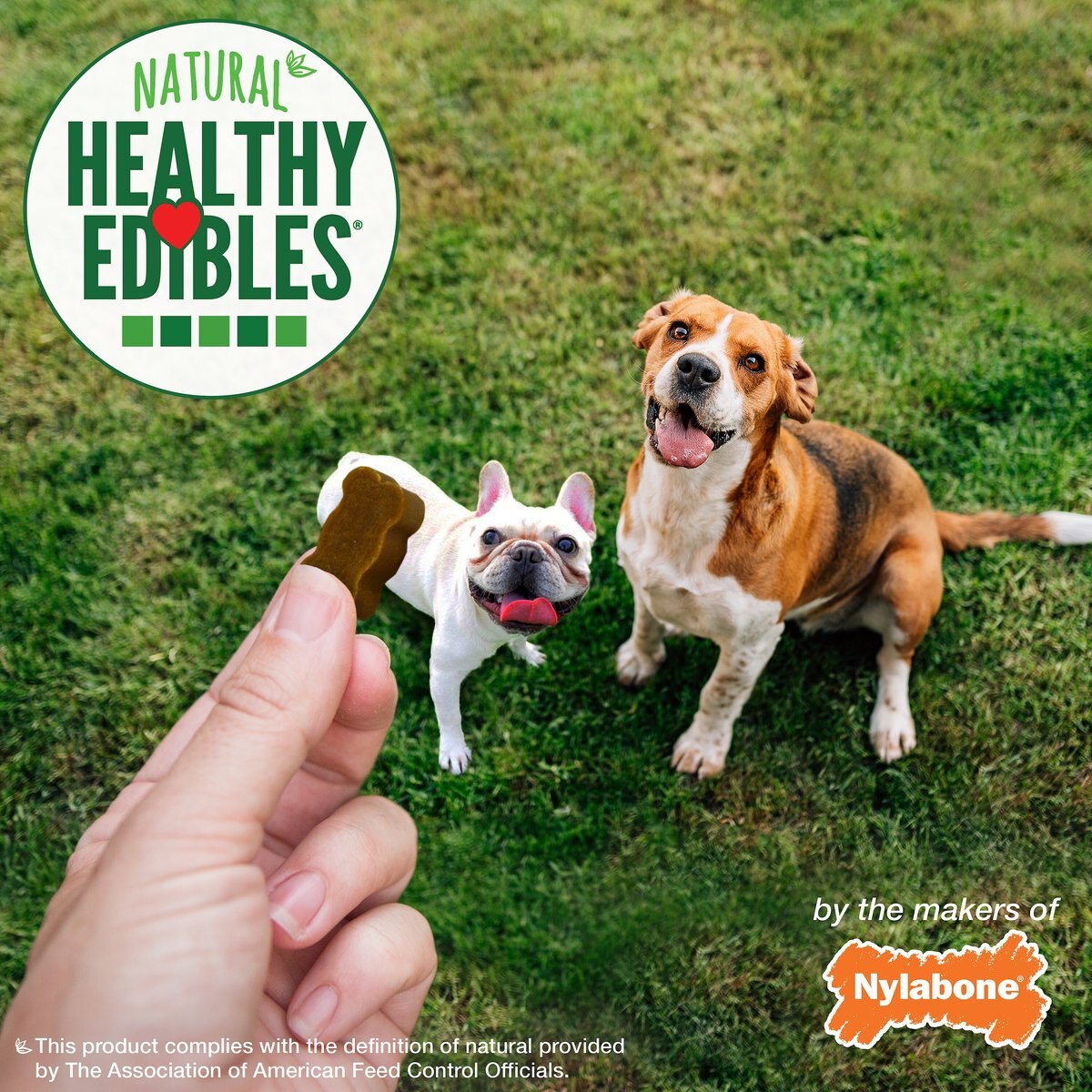 Nylabone Healthy Edibles Chewy Bites Beef and Cheese Flavor Dog Training Treats， 6-oz bag