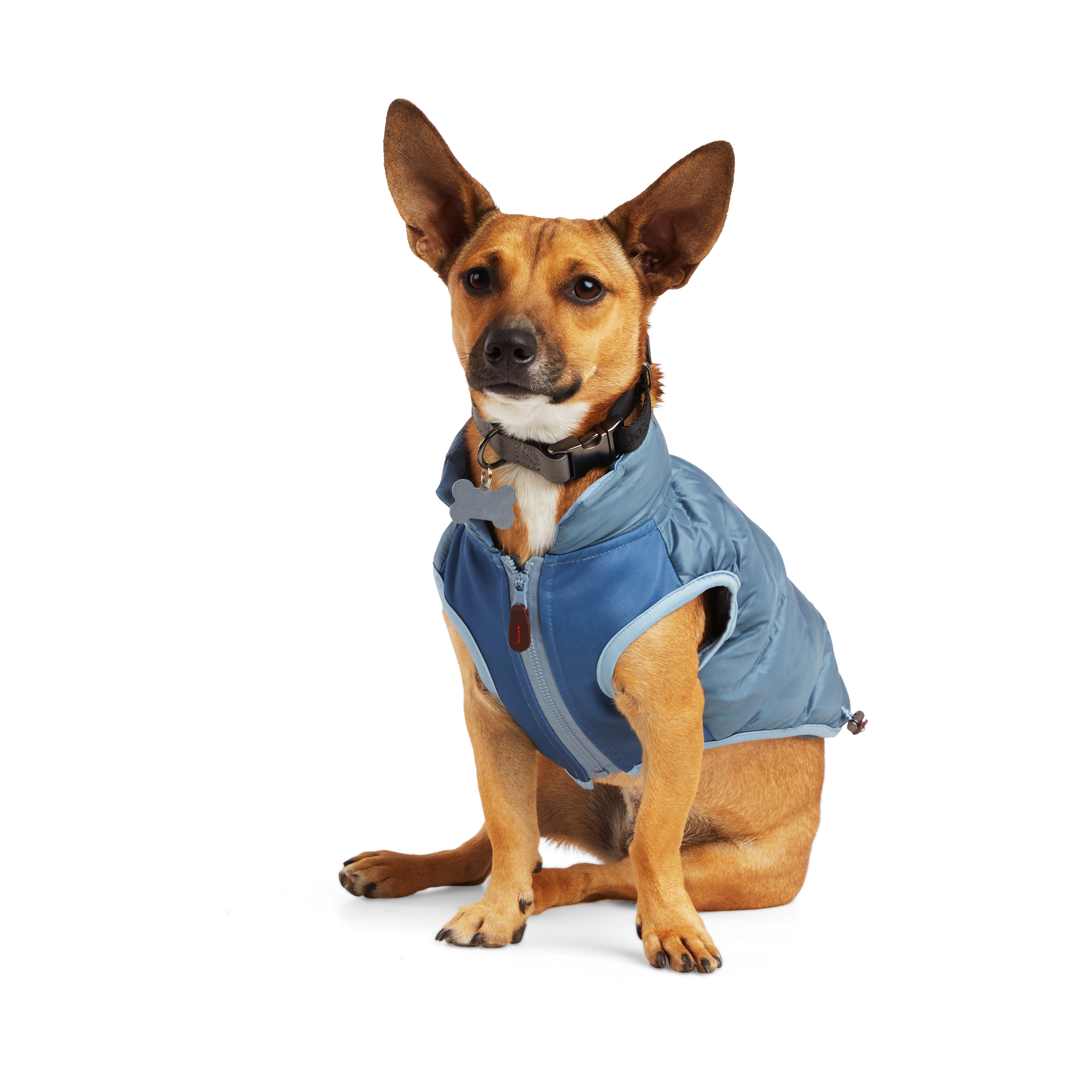 Reddy Blue Puffer Dog Vest， X-Small