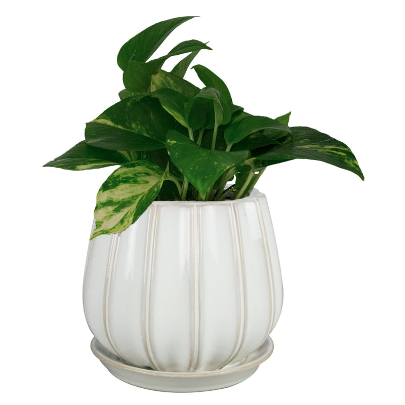 PLANTER CONTOUR WHITE 8