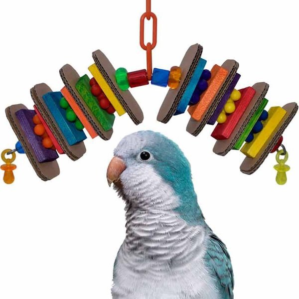 Super Bird Creations Snack Attack Bird Toy， Medium