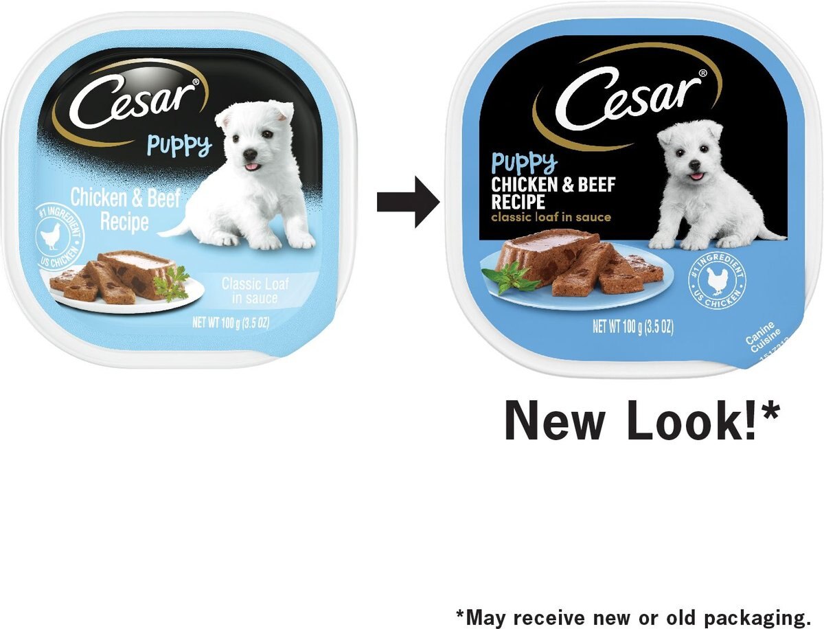 Cesar Puppy Classic Loaf in Sauce Chicken and Beef Recipe Dog Food Trays