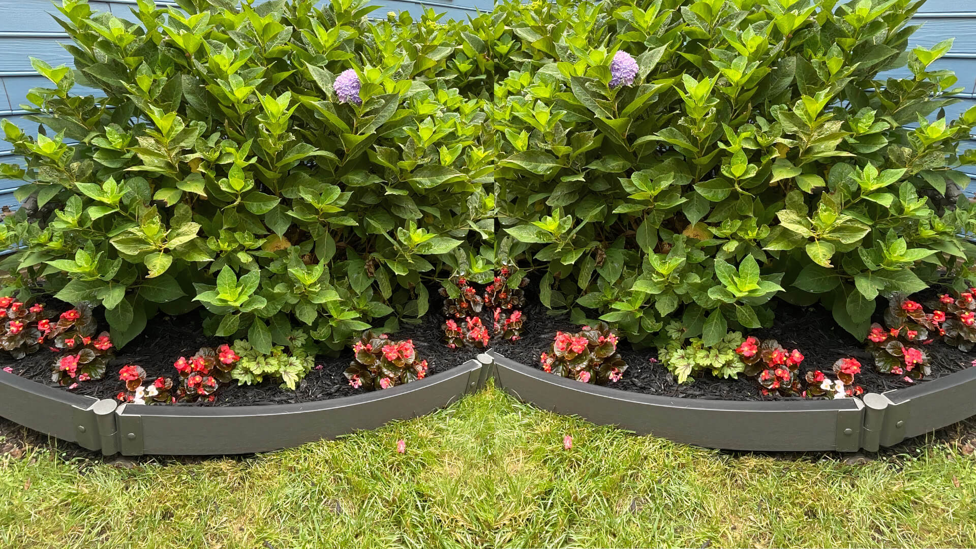 Curved Landscape Edging Kit