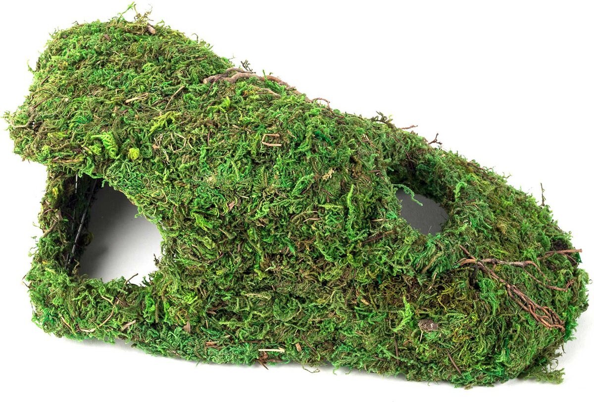 Galapagos Sapa Corner Hideout Reptile Terrarium Accessory， Fresh Green