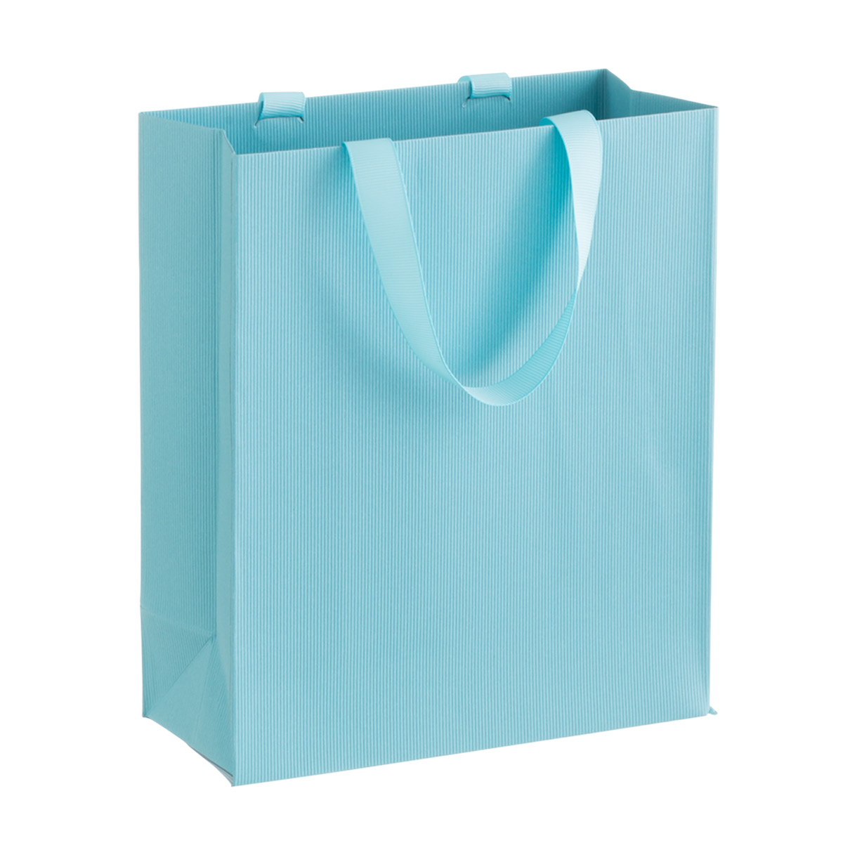 Small Gift Bag