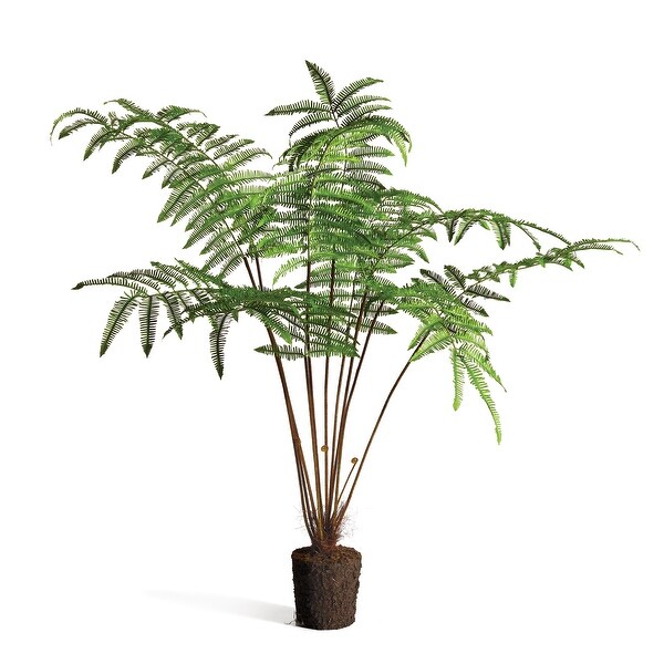 Forest Fern DropIn 60