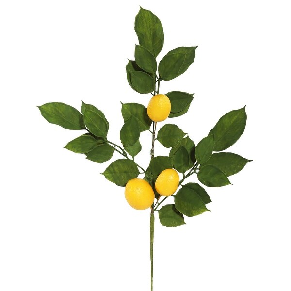 Vickerman 20 Artificial Salal Leaf Lemon Sprays. Pack of 4.