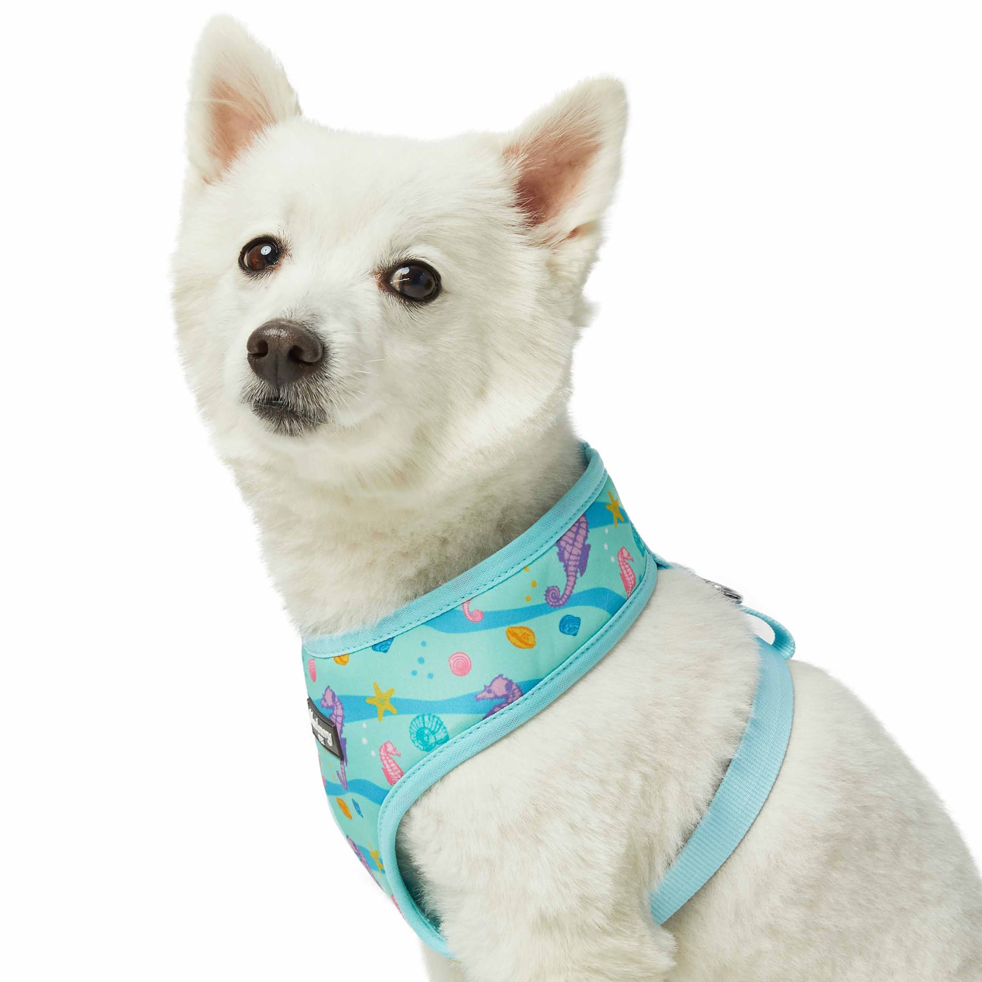 Blueberry Pet Soft  Comfy Seahorse and Friends Print Adjustable Dog Harness Vest， X-Small