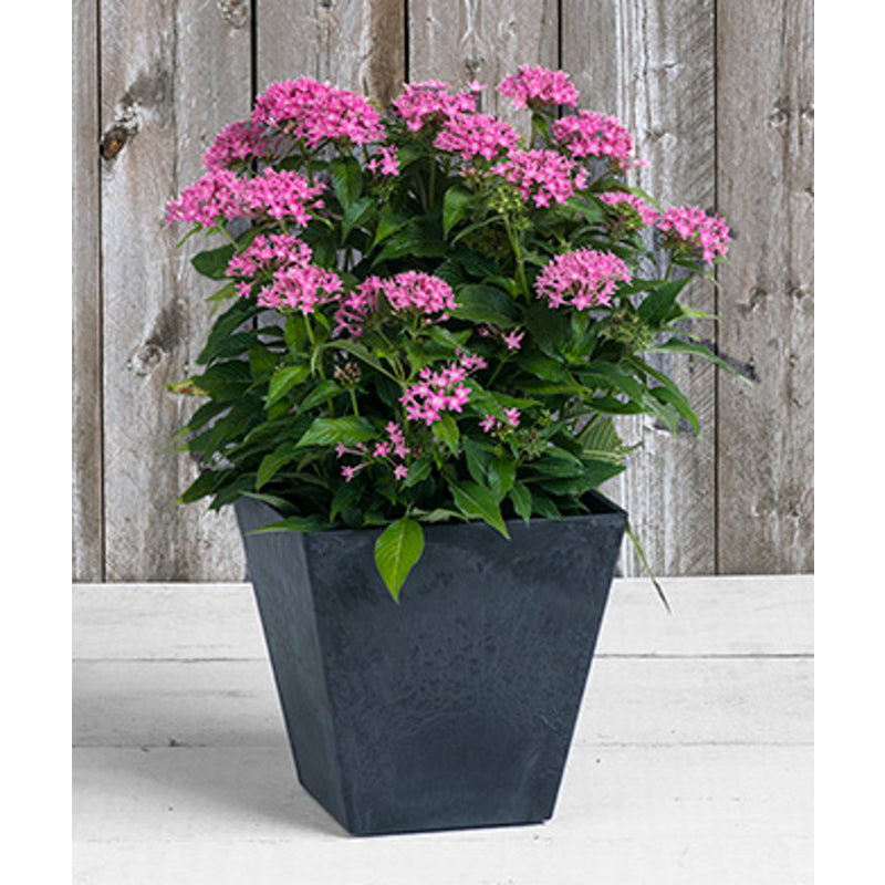 PLANTER SQR ELLA 10