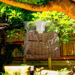 Black Flag Disposable Outdoor Fly Insect Trap HG-11039-1