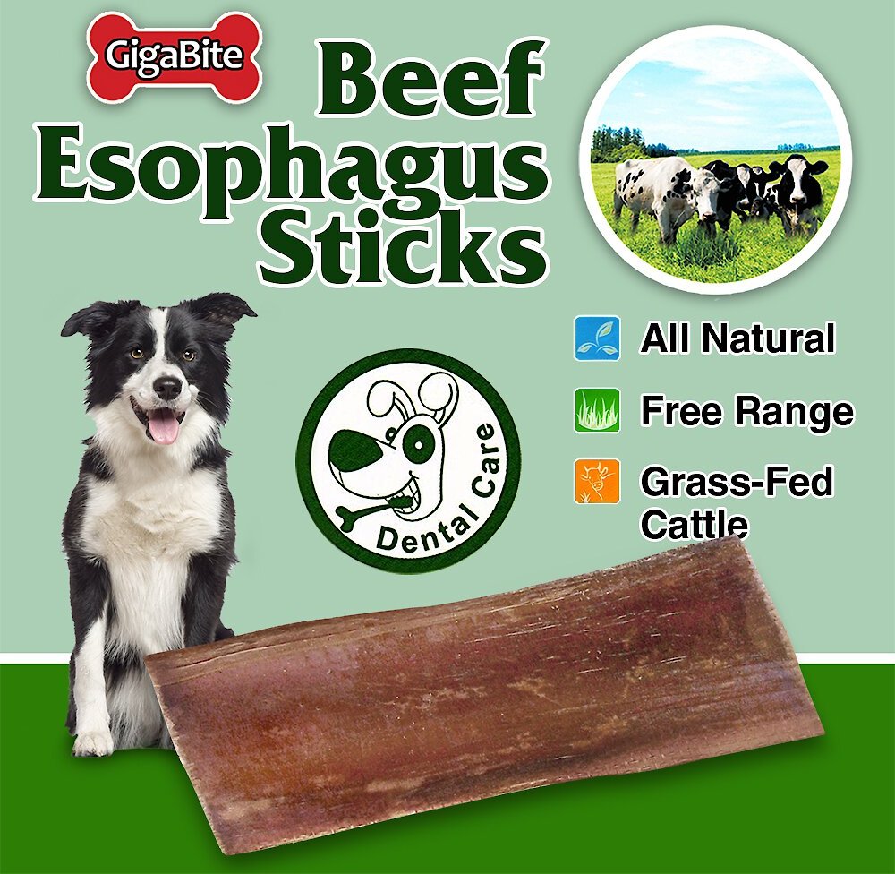 Best Pet Supplies GigaBite Beef Esophagus Dog Treats， 6-inch