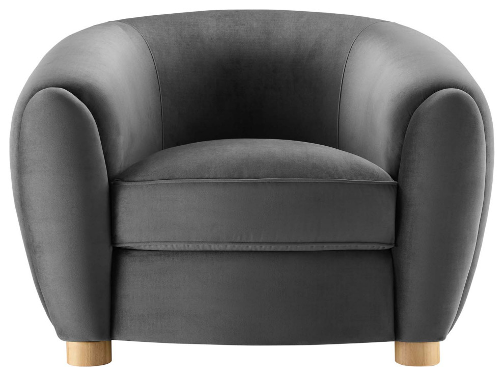 Abundant Performance Velvet Armchair   Transitional   Armchairs And Accent Chairs   by GwG Outlet  Houzz