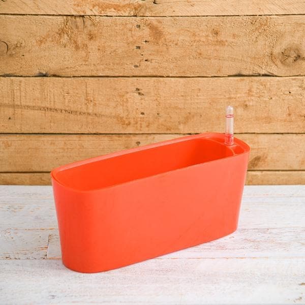 12 inch (30 cm) GW 04 Self Watering Rectangle Plastic Planter (Red)