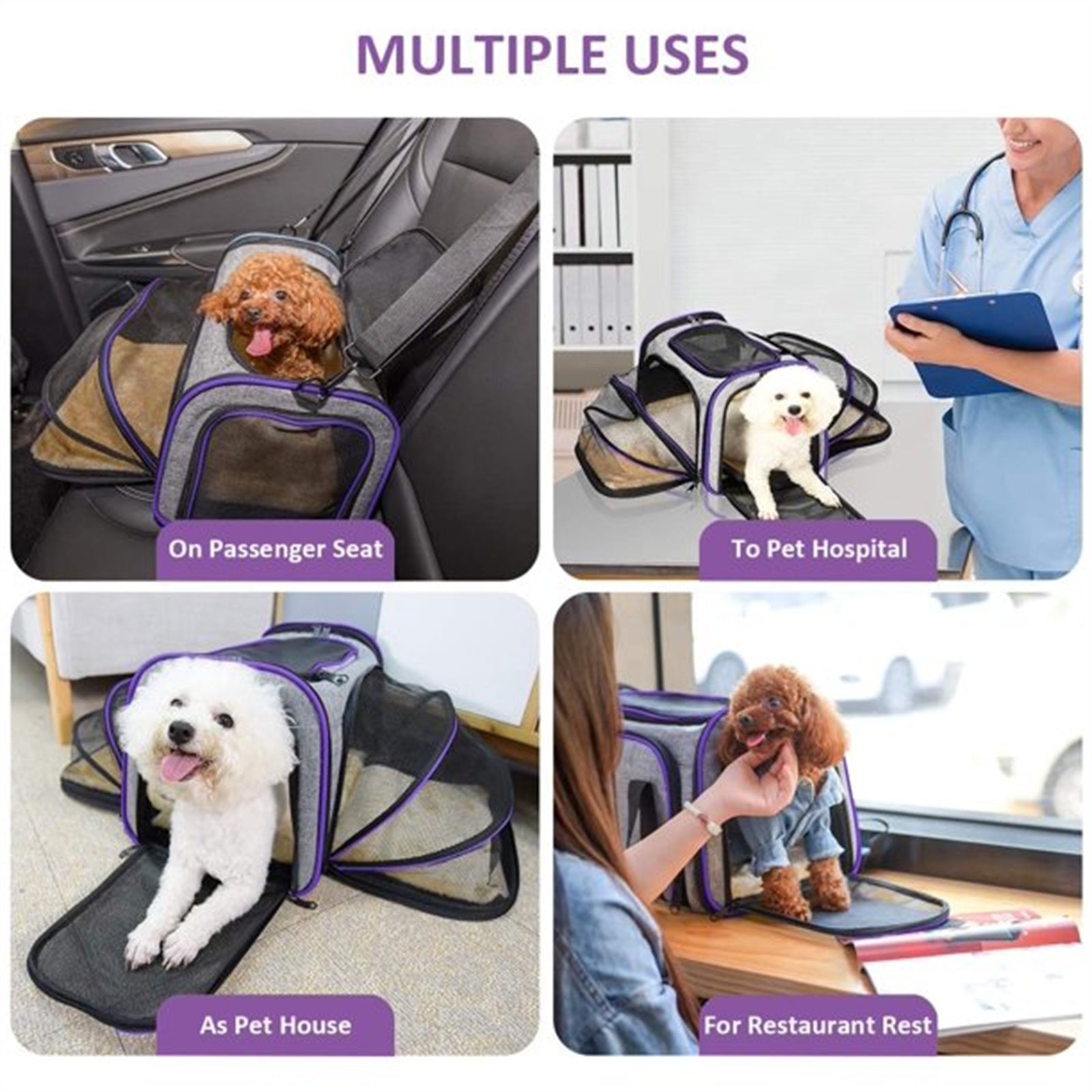 Electronn Cat Carrier TSA Airline Approved with Ventilation for Small Medium Cats Dogs Puppies with Big Space 5 Mesh Windows 4 Open Doors - Purple