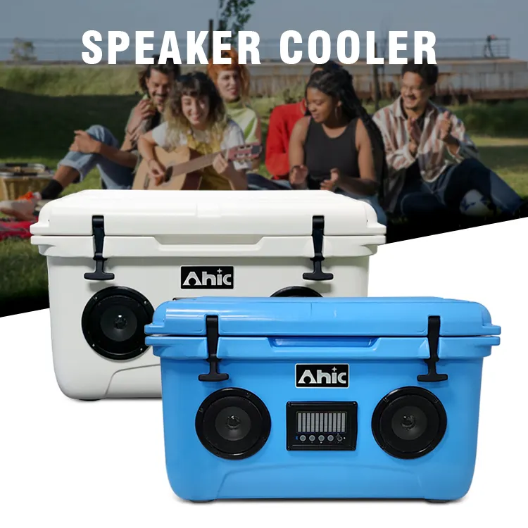 2024 New design hot saling factory customized brand cooler with speakers