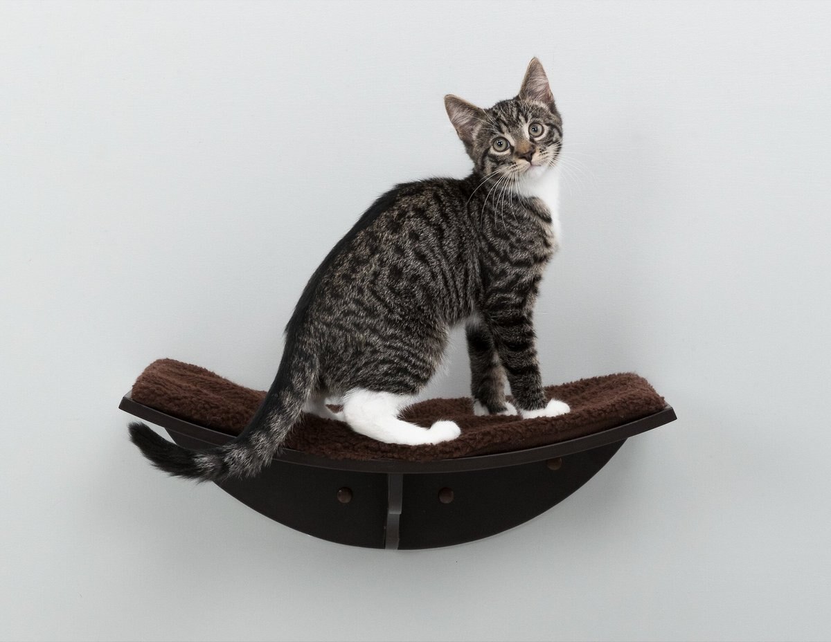 TRIXIE Lea Wall Mounted Cat Bed， X-Large