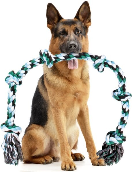 Pacific Pups Rescue Knotted Rope Tug Dog Toy， Blue， X-Large