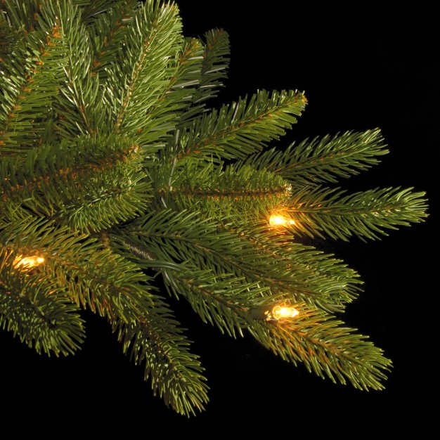 National Tree Company 7.5 Ft. Grande Fir Medium Tree With Clear Lights