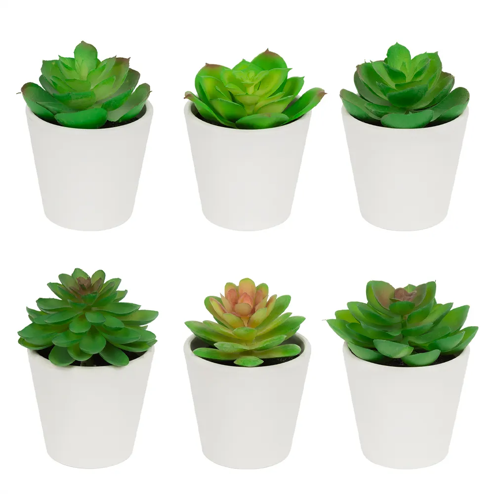 Wholesale Simulation Plants Mini Succulents Echeveria Garden Supplies Decorative Faux Plant Artificial Succulents Potted