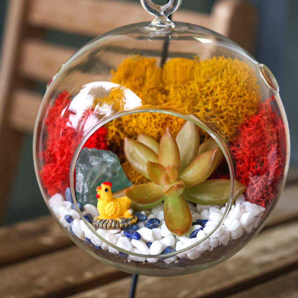 Creations by Nathalie 5 in. Glass Globe Terrarium Kit with Live Succulent Metal Stand Reindeer Moss Crystals Rocks Tools and Figurine CW-OS3V-8UGJ