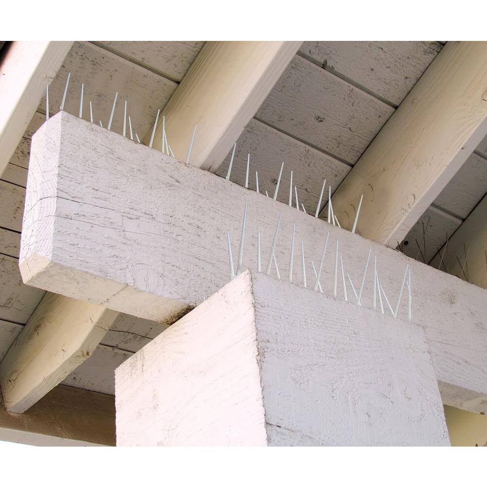 Bird B Gone Enviro Spike 10 ft. x 5 in. Plastic Bird Spikes 100521839