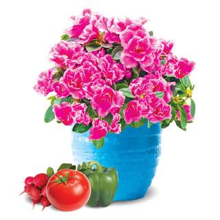 Burpee Natural  Organic 8 qt. Potting Mix (4-Pack) DCBP8PM4