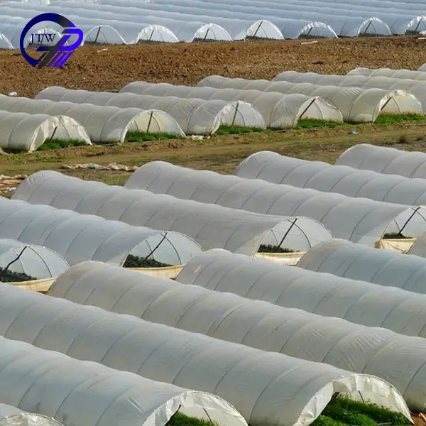 Winter Greenhouse System Supply Single Span Greenhouses For Agriculture