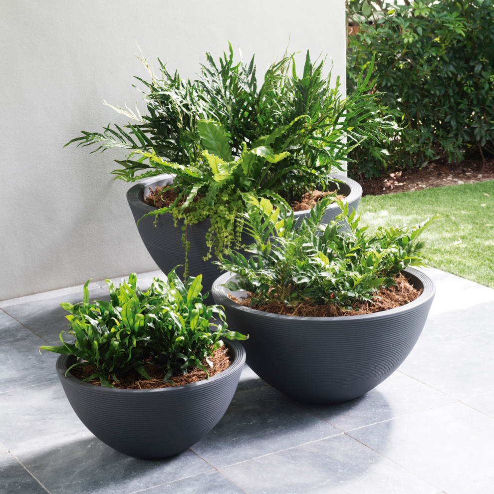 Delano 26 quotPlanter Bowl   Transitional   Outdoor Pots And Planters   by Crescent Garden  Houzz