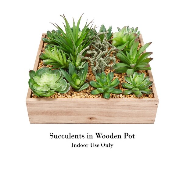 Assorted Faux Succulents with 10 Inch Wooden Box by Pure Garden